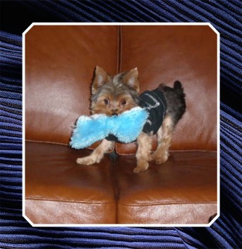 tuckerwithtoy.jpg